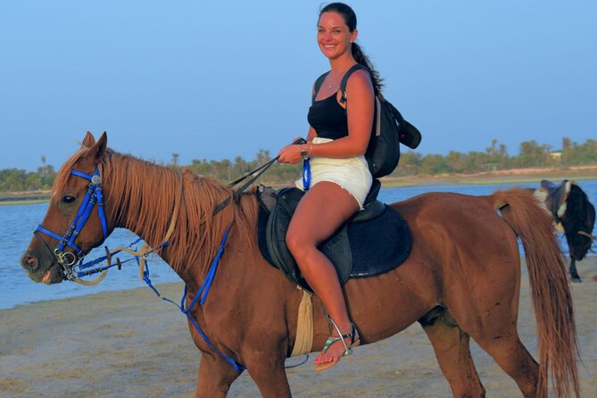 Explore Djerba by camel and horse - Key points to know before booking