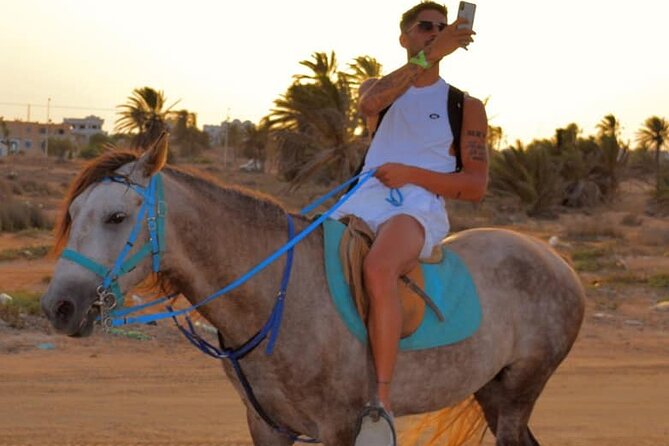Explore Djerba by camel and horse - Leaving Dar el Manara for Djerba’s open country