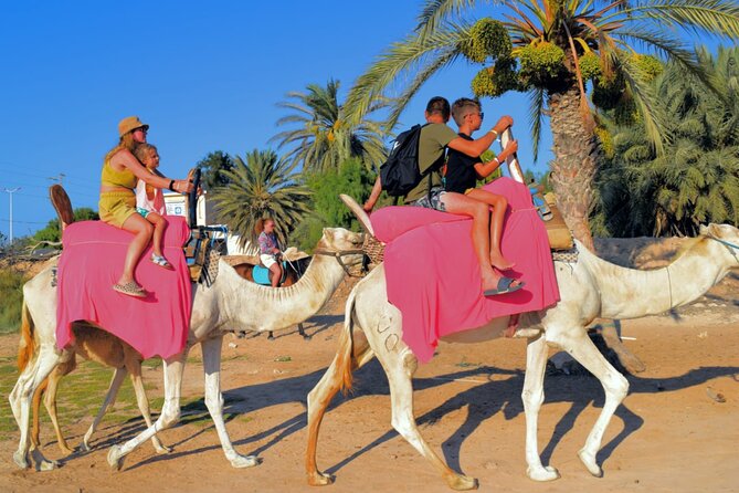 Explore Djerba by camel and horse - Choosing the return ride