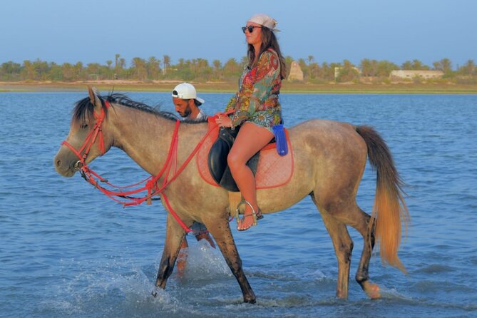 Explore Djerba by camel and horse - What the guides and animal care mean for you