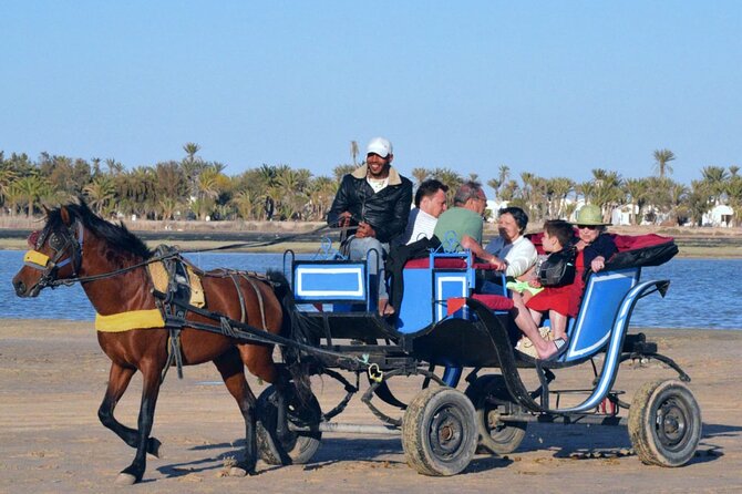 Explore Djerba by camel and horse - Is $42.97 a fair price?