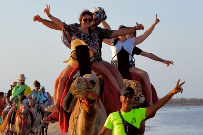 Explore Djerba by camel and horse - Pickup, group size, and practical details