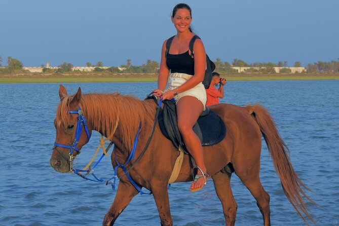 Explore Djerba by camel and horse - One hour on Berber tracks