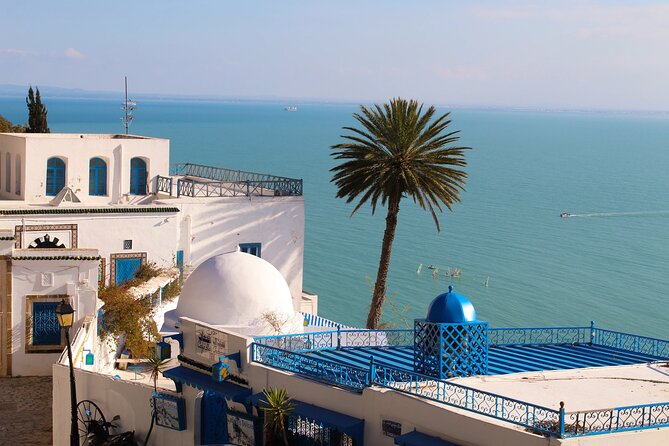 Explore Tunisia in Depth:The Private Grand Tour in 8 Days - From Tunis to the first Roman ruins