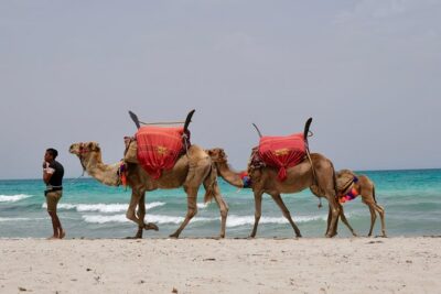 From Djerba : 1 day in the footsteps of Star Wars “Mos Eisley”