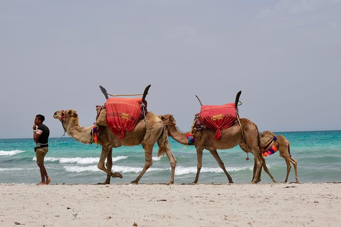 From Djerba : 1 day in the footsteps of Star Wars "Mos Eisley" - Meninx and the Roman causeway