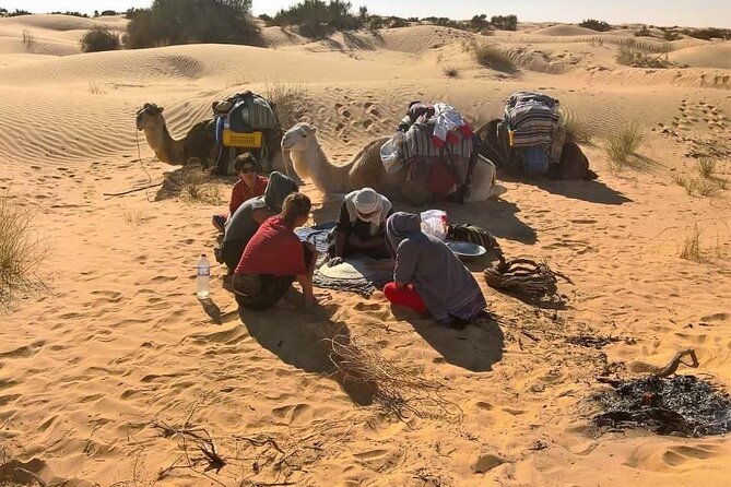 From Tozeur: 3-Day Desert Trip - The camel trek into the Erg Oriental