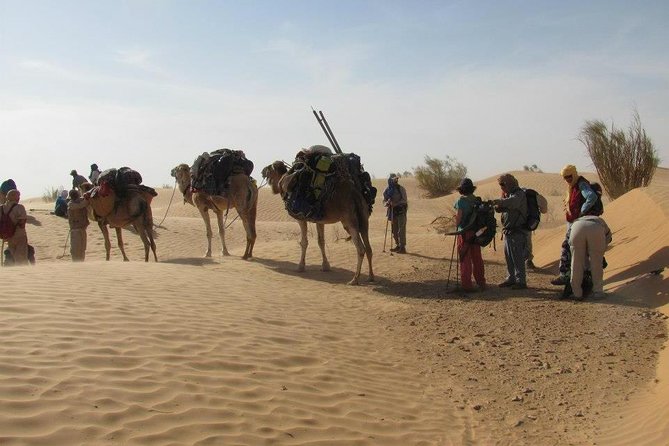 From Tozeur: 3-Day Desert Trip - Sunset, camp, and dinner under the stars