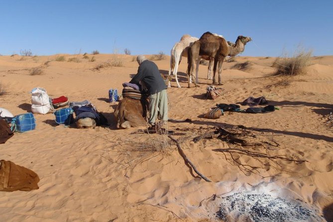 From Tozeur: 3-Day Desert Trip - Learning about Bedouin life