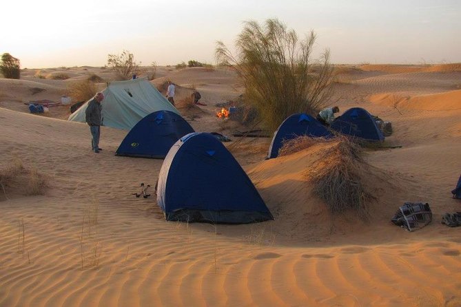 From Tozeur: 3-Day Desert Trip - Chott Djerid, Tunisia’s great salt lake