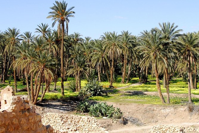From Tunis: Star Wars 5 day tour - Day 5: A troglodyte home and the Roman arena at El Jem