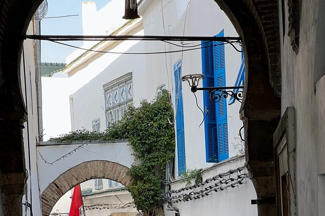 Full-Day Shore Excursion Private Tour in Tunisia Carthage ,Medina, Sidi Bou said - What the private format really adds