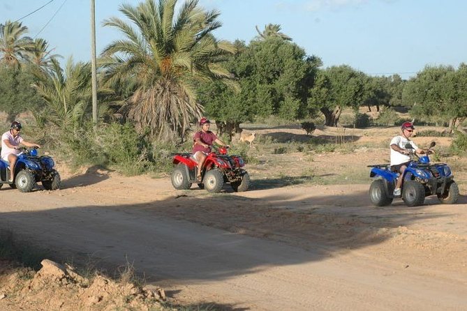 Great ride forest and blue lagoon in quad - What the Three-Hour Route Actually Offers