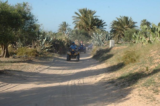 Great ride forest and blue lagoon in quad - Who Will Enjoy This Most