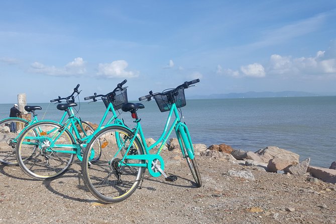 Guided Bike Tour of Carthage Archeological Site in Tunisia - What the private format changes