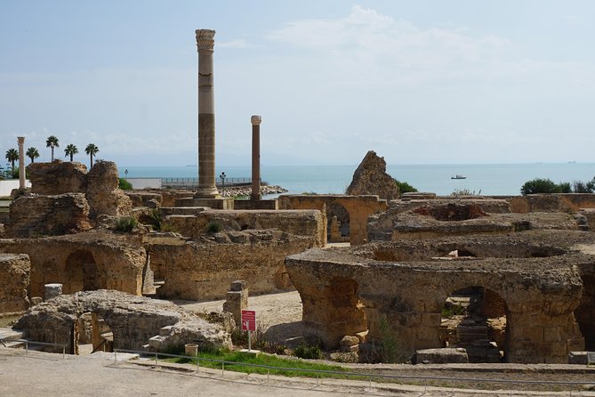 Guided Bike Tour of Carthage Archeological Site in Tunisia - Choosing a regular or electric bicycle