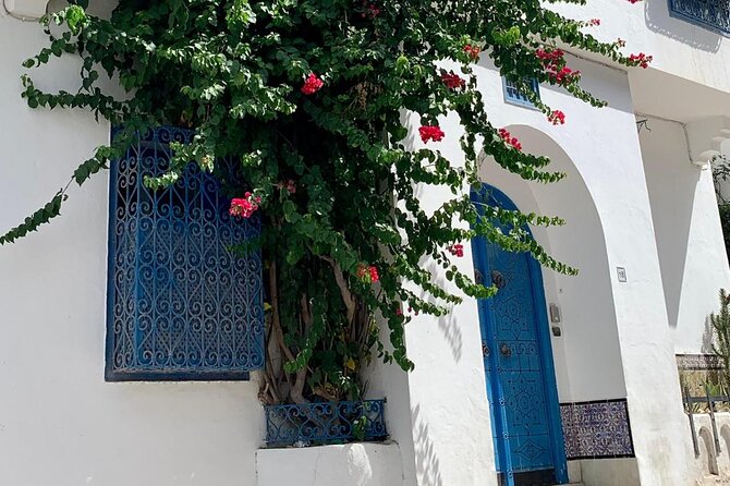 Half a day in Sidi Bousaid from Hammamet - Three hours for views, doors, and wandering