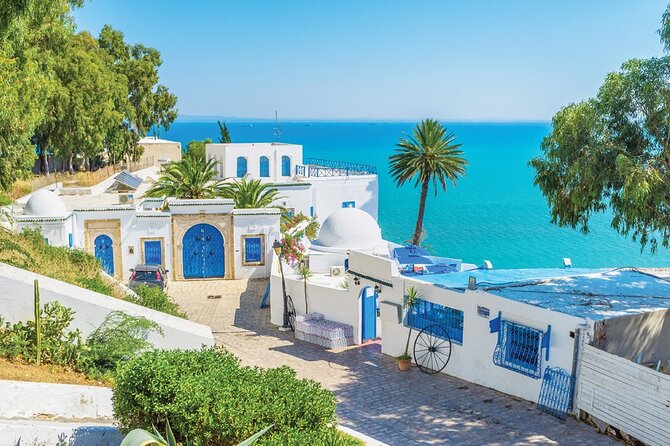 Half a day in Sidi Bousaid from Hammamet - What $44.15 buys you