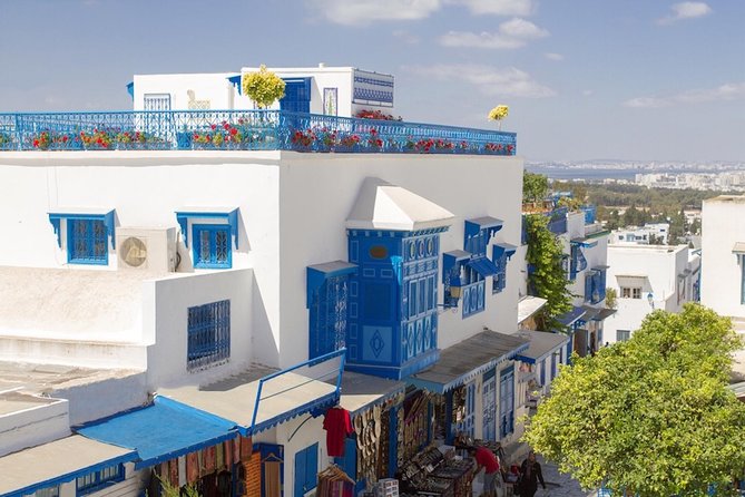Half-Day Carthage, Sidi Bou Said Private Tour with Licensed Guide - Key points to know before booking