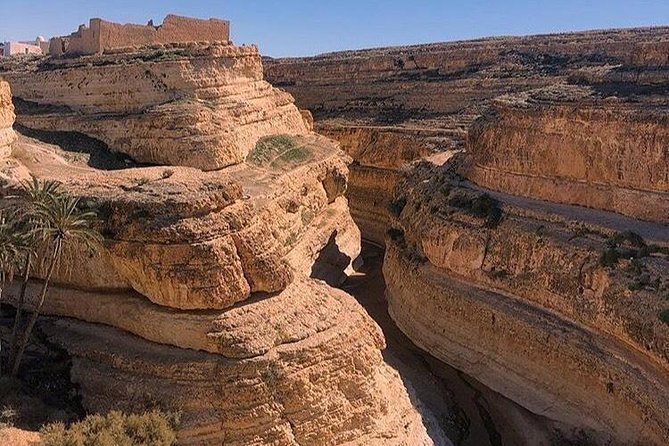 Half-day excursion the mountain oases from Tozeur - Tamerza Canyon: where springs meet bare mountain rock