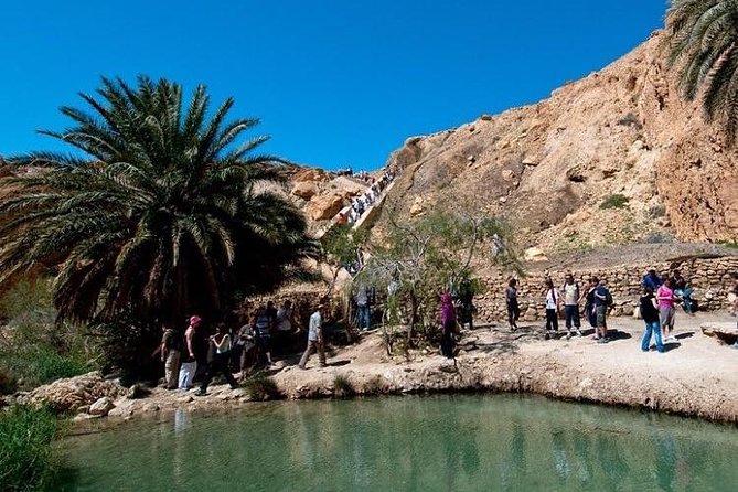Half-day excursion the mountain oases from Tozeur - What the $65.31 price gives you