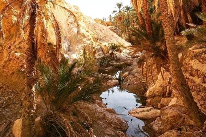 Half-day excursion the mountain oases from Tozeur - Who should book this Tozeur oasis trip