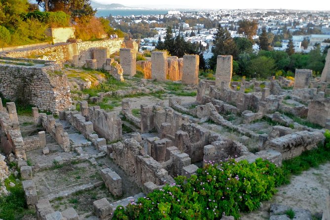 Historical Tour of Ancient Carthage - Key points to know before booking