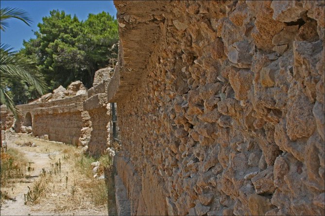 Historical Tour of Ancient Carthage - A private group is more useful than it sounds