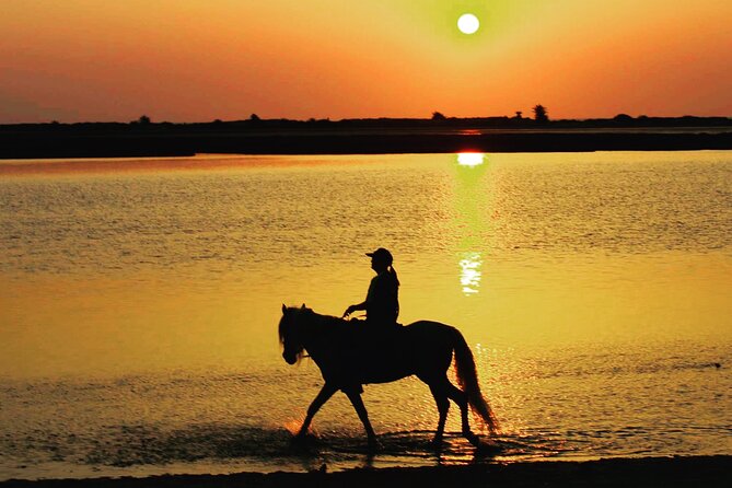 Horseback riding at sunrise 3h - The emotional payoff of the viewpoint