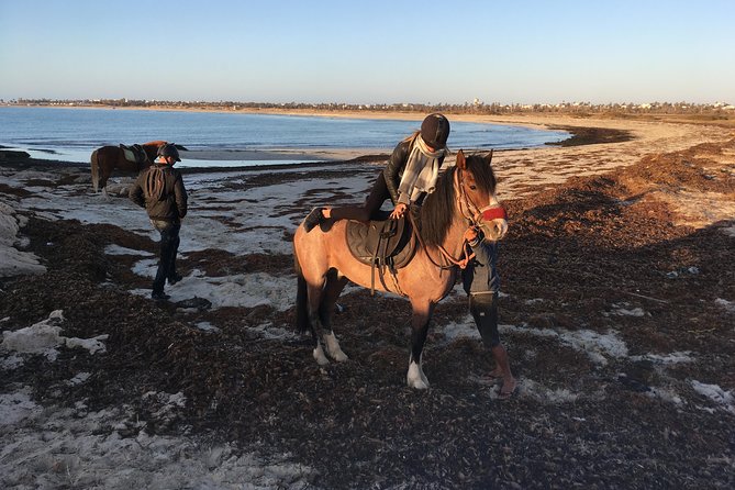 Horseback riding at sunrise 3h - Price and what you receive for $52.48