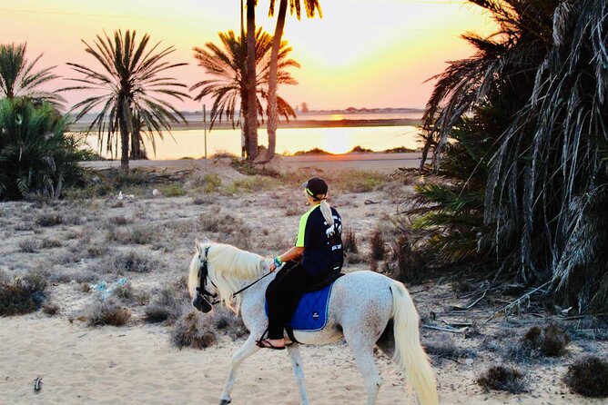 Horseback riding at sunrise 3h - Pickup, meeting point, and the early logistics