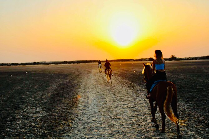 Horseback riding at sunrise 3h - Weather, cancellation, and flexibility