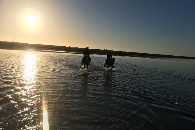Horseback riding at sunrise 3h - A sunrise ride rather than a standard trail outing