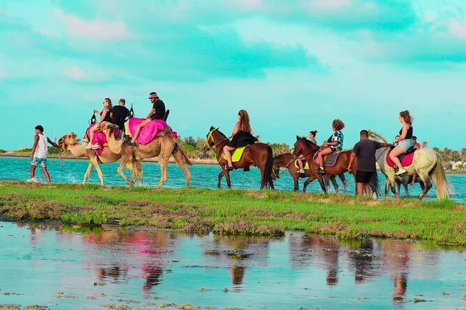 Horseback riding or camel at sunset in Djerba - What the strongest praise tells you