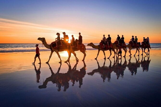 Horseback riding or camel at sunset in Djerba - Who will enjoy this most