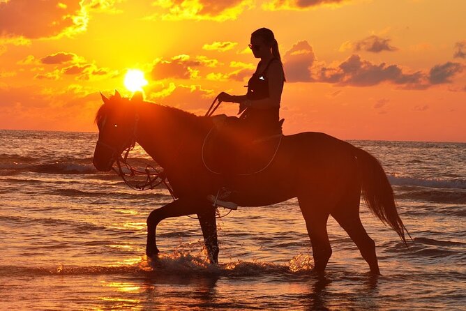 Horseback riding or camel at sunset in Djerba - Meeting the team at Hôtel Dar el Manara