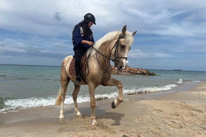 Horseback riding with private transfer - Meeting the horses and getting ready