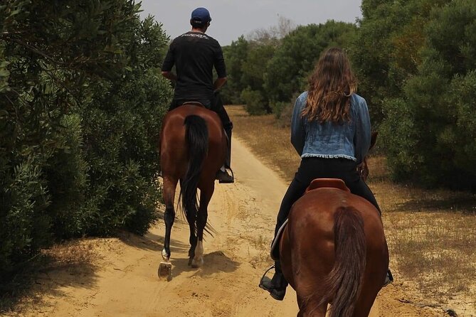 Horseback riding with private transfer - The beach section and sea views