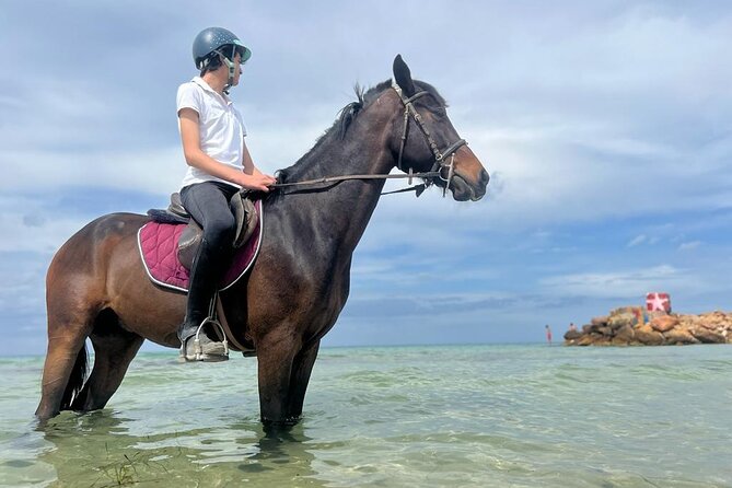 Horseback riding with private transfer - How the private format changes the experience