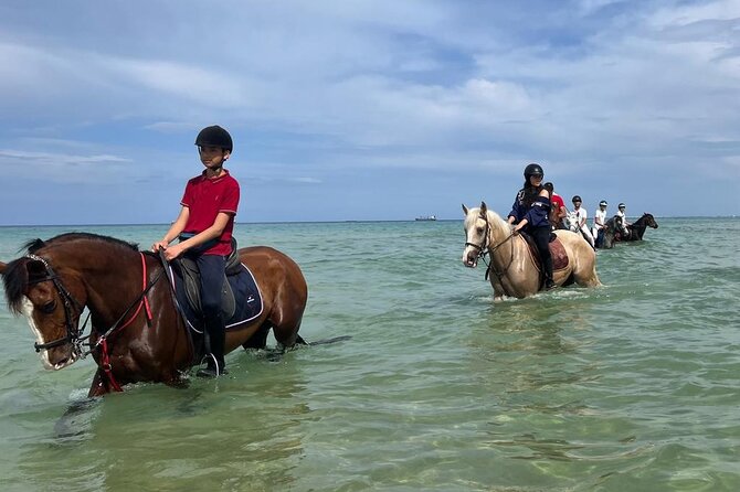 Horseback riding with private transfer - What the $62.72 price includes