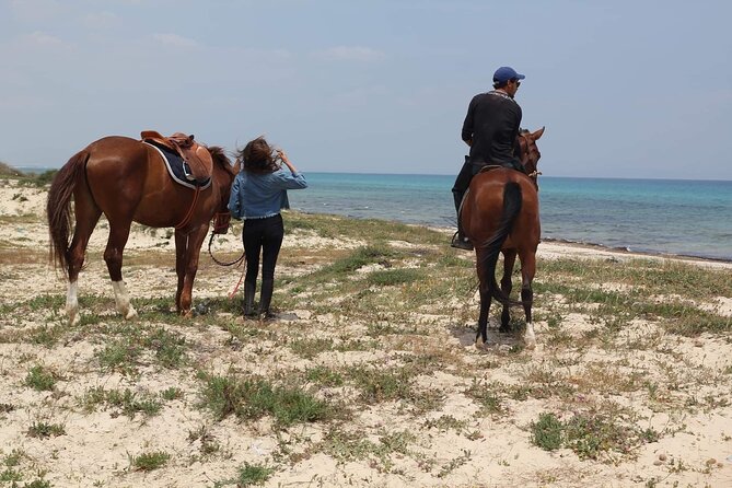 Horseback riding with private transfer - Who will enjoy this ride most