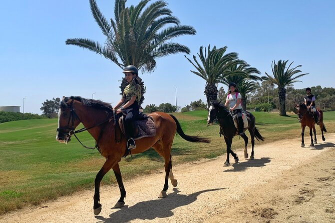 Horseback riding with private transfer - Timing, weather, and practical planning