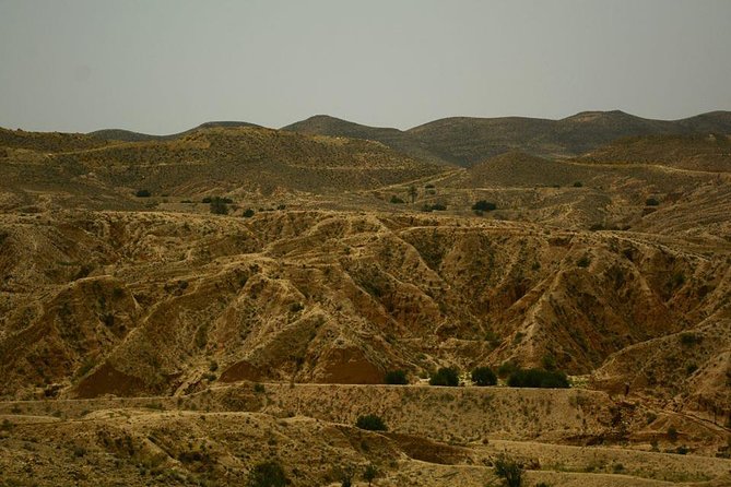Ksar Ghilane 1 day: The hot spring and the homestay - Ksar Ghilane: An Oasis at the Desert Gate