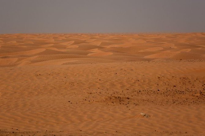 Ksar Ghilane 1 day: The hot spring and the homestay - A Long Road Made Easier by Included Transport