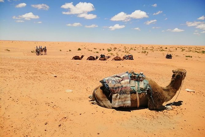 Ksar Ghilane 1 day: The hot spring and the homestay - Toujane: A Ten-Minute Photo Pause