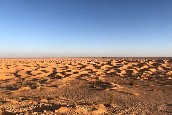 Night excursion to the desert and Berber village from Djerba - At a Glance