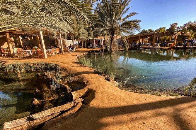 Night excursion to the desert and Berber village from Djerba - Why This Southern Tunisia Trip Is Worth Your Time