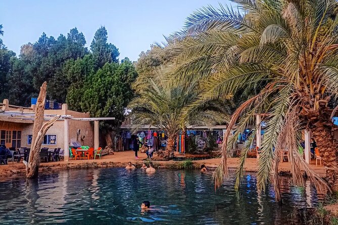 Night Under Tent 2 Day Excursion Ksar Ghilane - Ksar Ghilane and the oasis hot spring