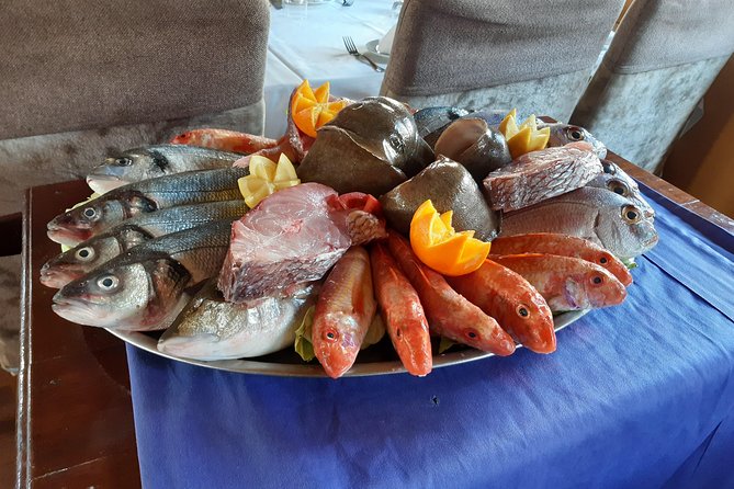 North Africa Tour Bizerte Cape Angela and Ichkeul Unesco park - Who should book this North Tunisia tour?