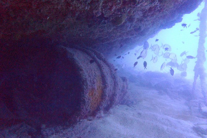 Octopus Rock Exploration - Certified Diver - Starting at Club de Plongée La Sirène at 8:30 am